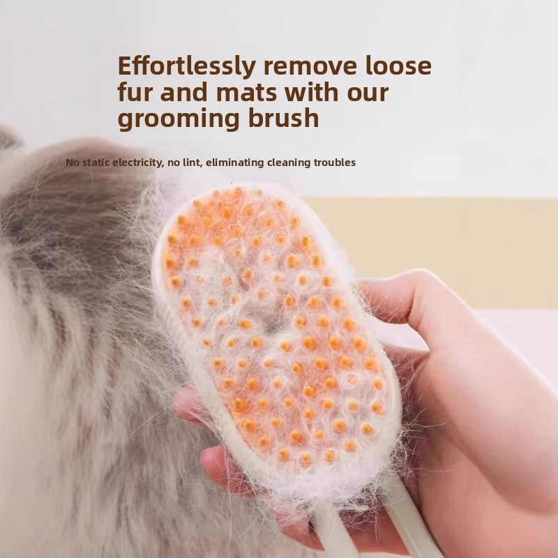 Pet Brush